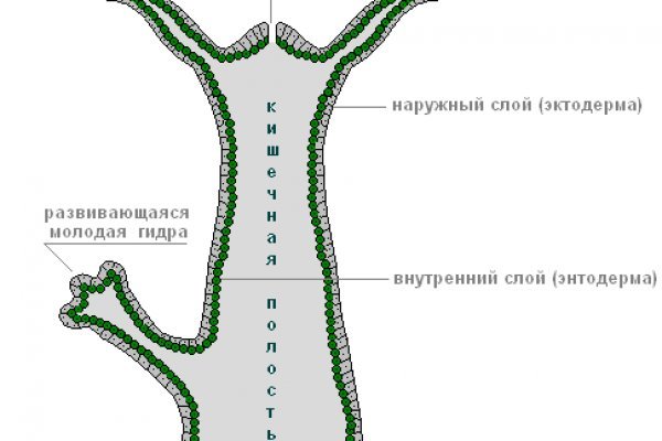 Сайты продаж наркотиков